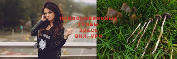 меф Дмитровск