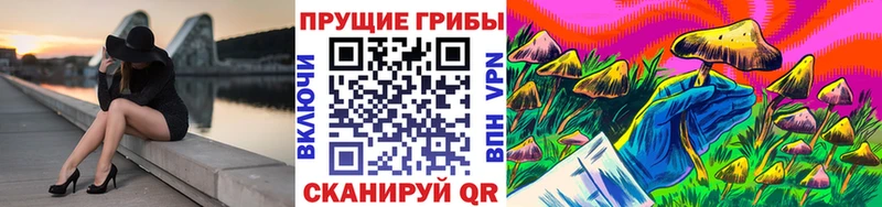 Купить закладки  Ак-Довурак  Псилоцибиновые грибы MAGIC MUSHROOMS 